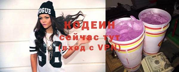 гашик Карпинск