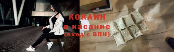 гашик Карпинск