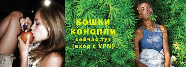 гашик Карпинск