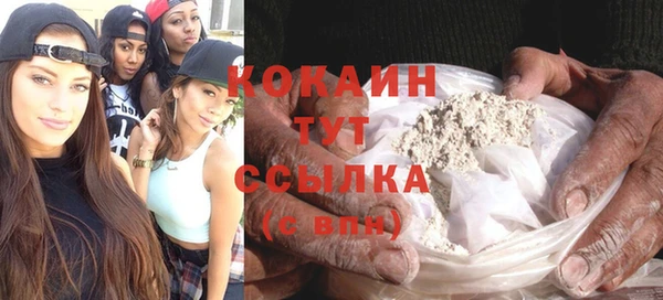 гашик Карпинск