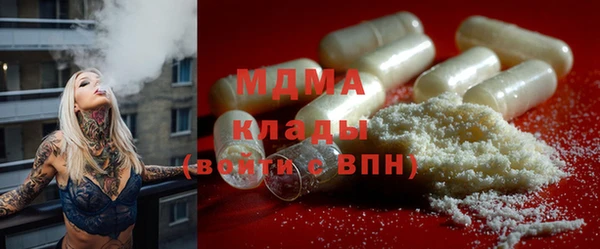 гашик Карпинск