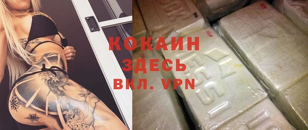 гашик Карпинск