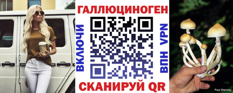 Купить где  Сухиничи  Псилоцибиновые грибы GOLDEN TEACHER 